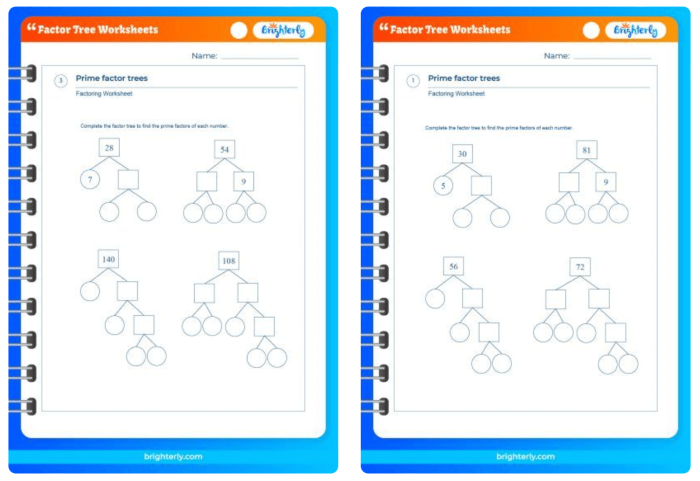 Factor tree worksheet for fourth graders to practice identifying factors in multiplication. Educational resource image illustrating a factor tree for math practice.