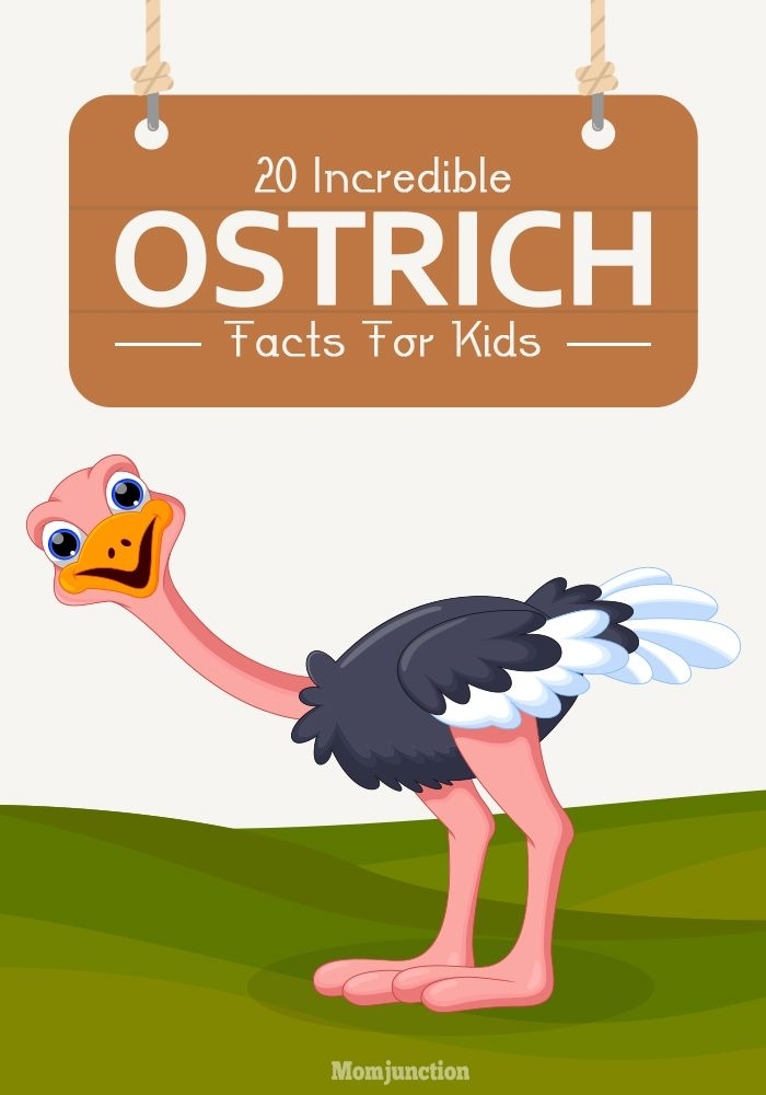 Image title showcasing fun facts about the world's largest flightless bird for educational use ALT text for a worksheet featuring interesting information about ostriches, suitable for second graders