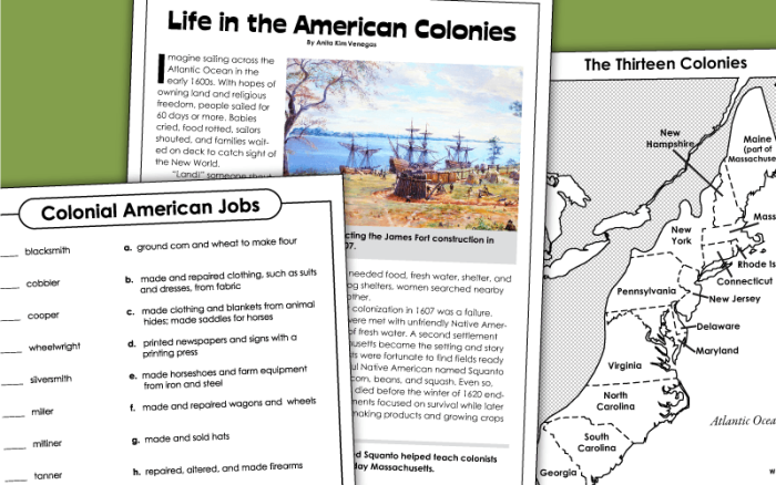 Worksheet illustrating facts and opinions about Colonial America for third graders