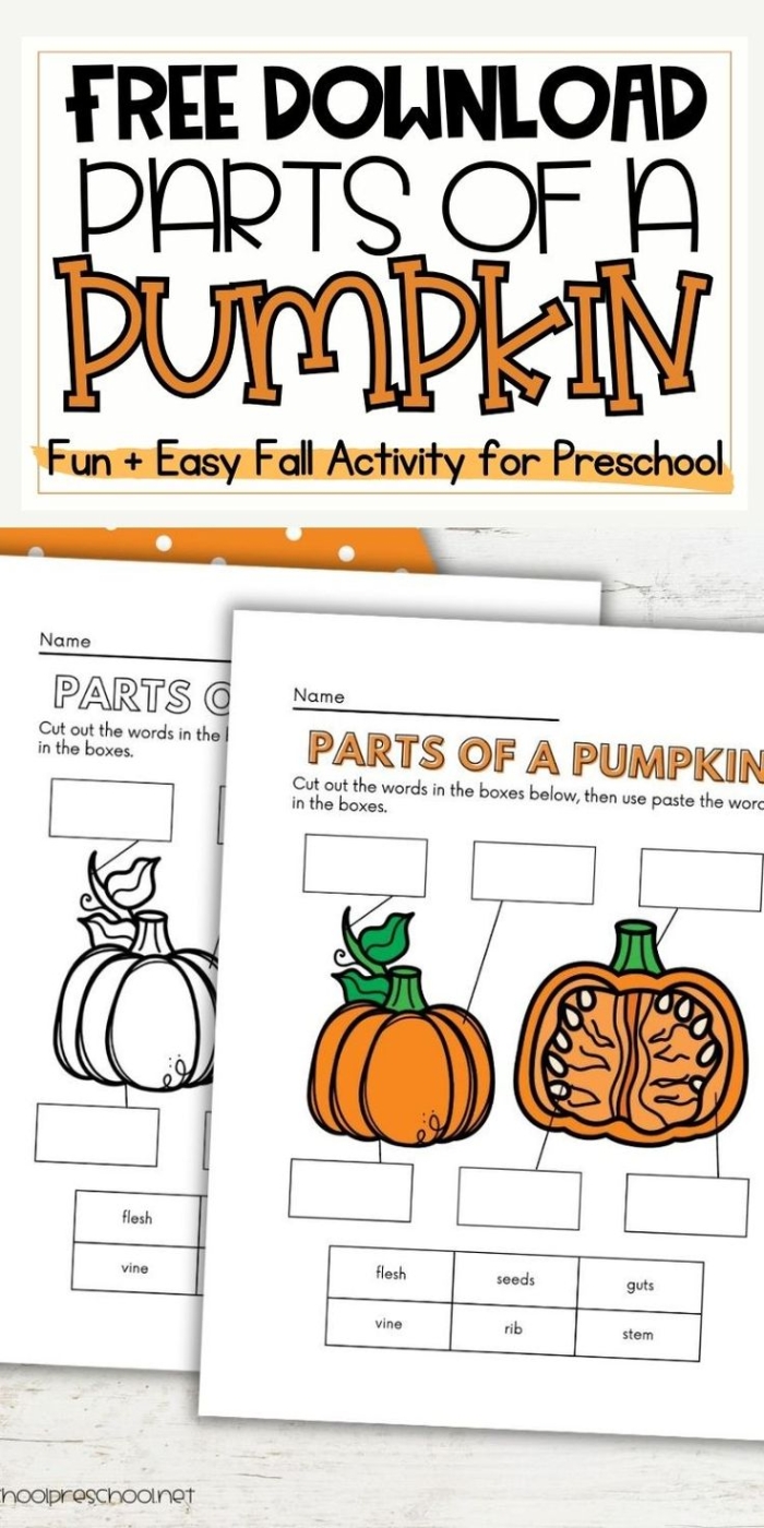 Fall Fun worksheet featuring a colorful leaf rubbing activity for Pre-K students