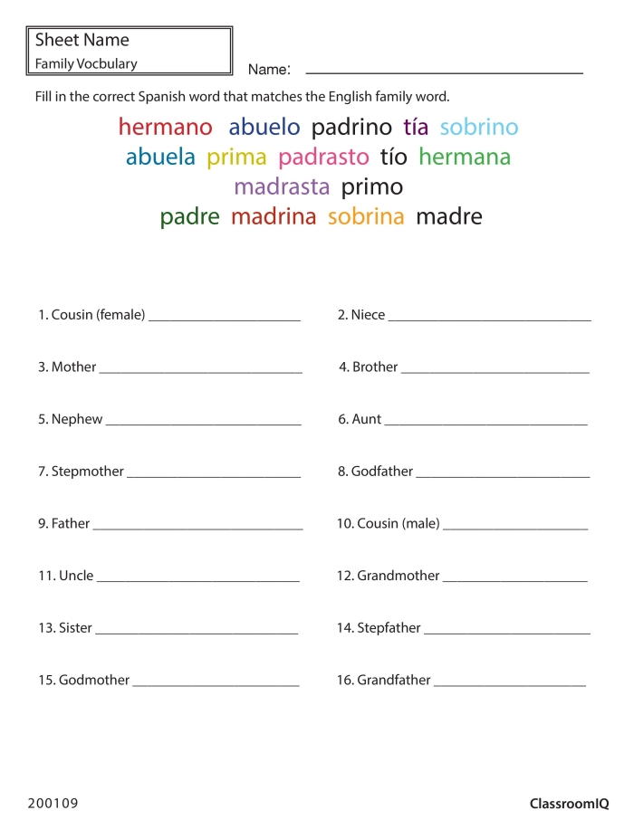 Spanish family members vocabulary chart for third grade bilingual learning worksheet Colorful illustration showing Spanish family member vocabulary words with pictures of parents, grandparents, siblings and relatives labeled in Spanish and English