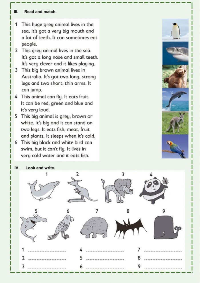 Worksheet for students to explore their favorite animal and gather facts