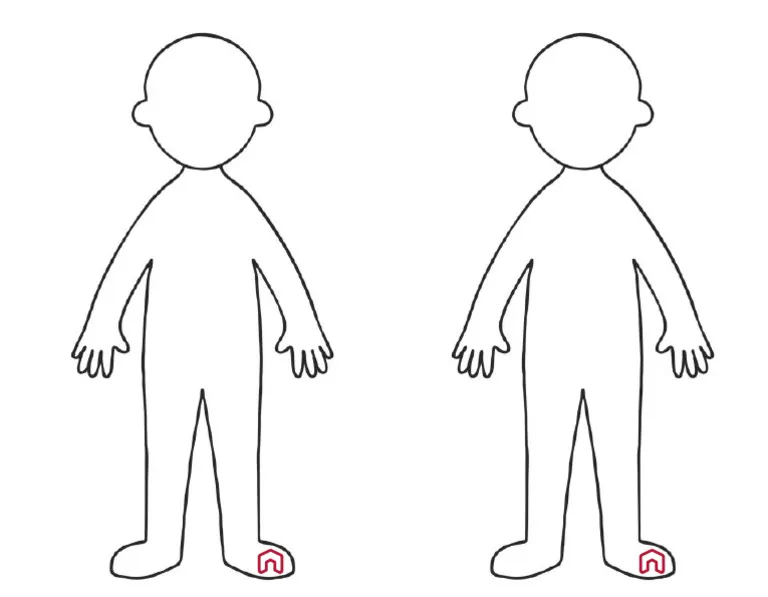 Detailed body outline worksheet for fifth-grade life science students