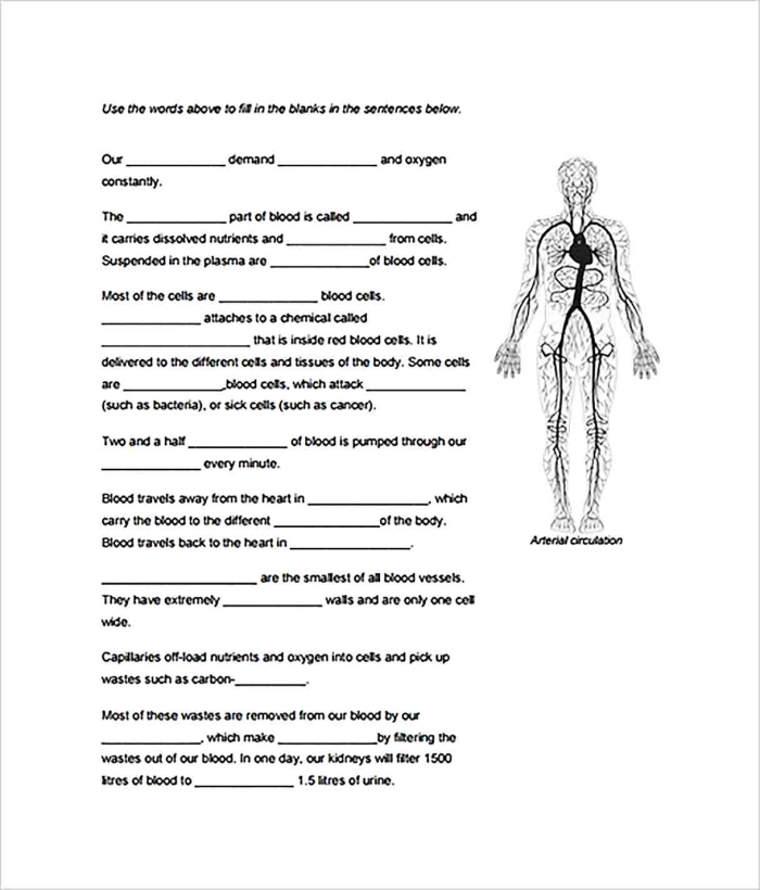Body Outline worksheet for fifth-grade students exploring human body systems
