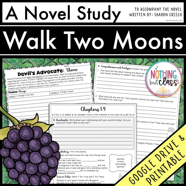 Targeted Reading Skills Practice Cause and Effect in Walk Two Moons Worksheet Image 3 Fifth grade reading comprehension worksheet focusing on identifying cause and effect relationships in Walk Two Moons