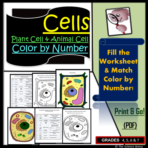 Fifth grade students complete a biology cell diagram by solving subtraction problems to identify color codes