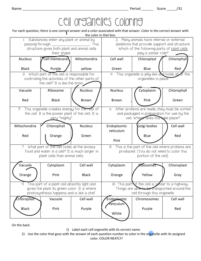 Fifth grade math worksheet featuring a labeled cell diagram for a color by number subtraction activity
