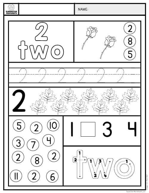 Labeled diagram of a cell with colored sections for fifth-grade subtraction practice worksheet