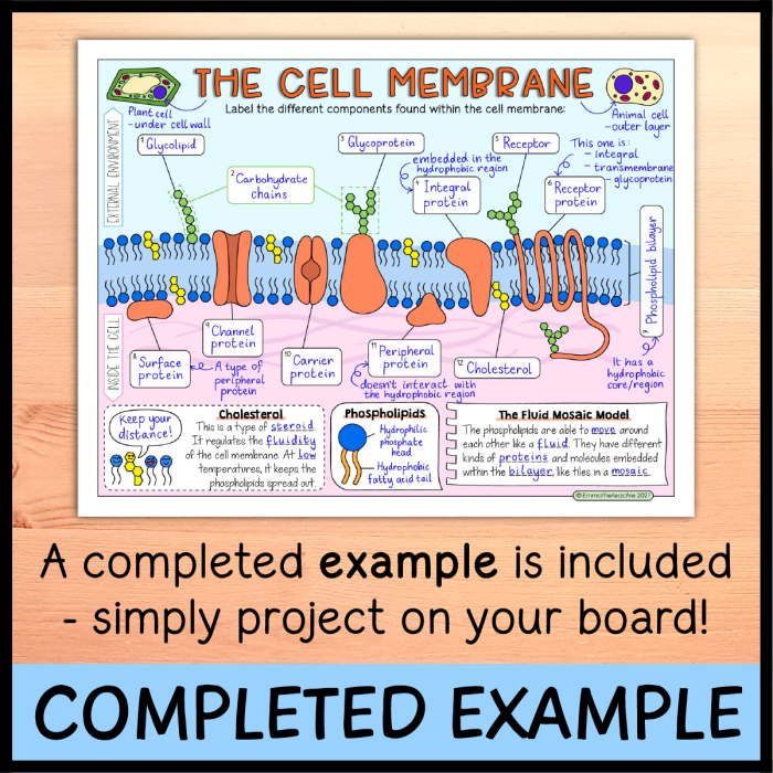 Fifth graders label and color cell parts using this subtraction-based worksheet activity
