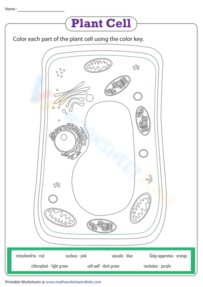 Fifth grade math worksheet featuring a biological cell diagram for subtraction-based color by number practice
