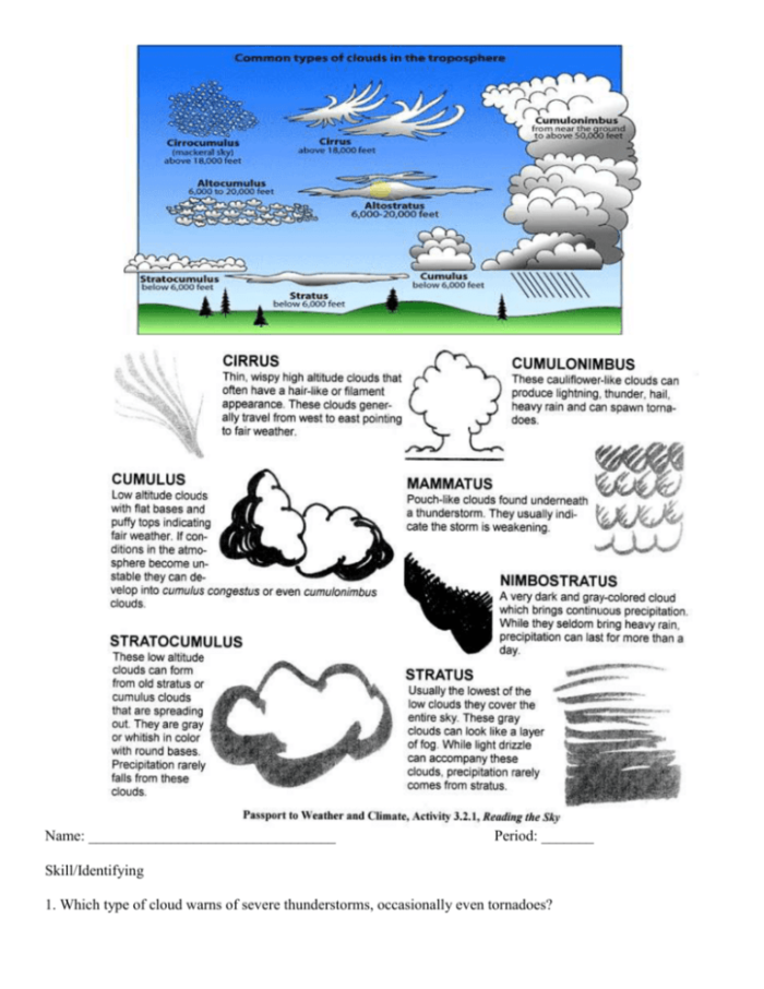 How Clouds Form worksheet image for fifth-grade students Illustration showing the process of cloud formation from moisture in the air
