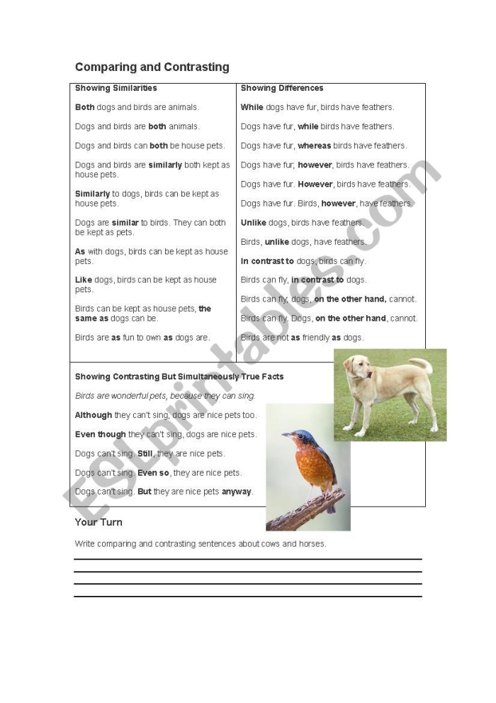 Visual guide to transition words for comparison and contrast activities Worksheet featuring transition words for comparing and contrasting in fifth grade