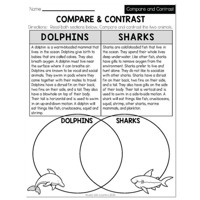 Educational resource on addition for fifth grade students using transition words Worksheet featuring transition words for comparing and contrasting in fifth grade