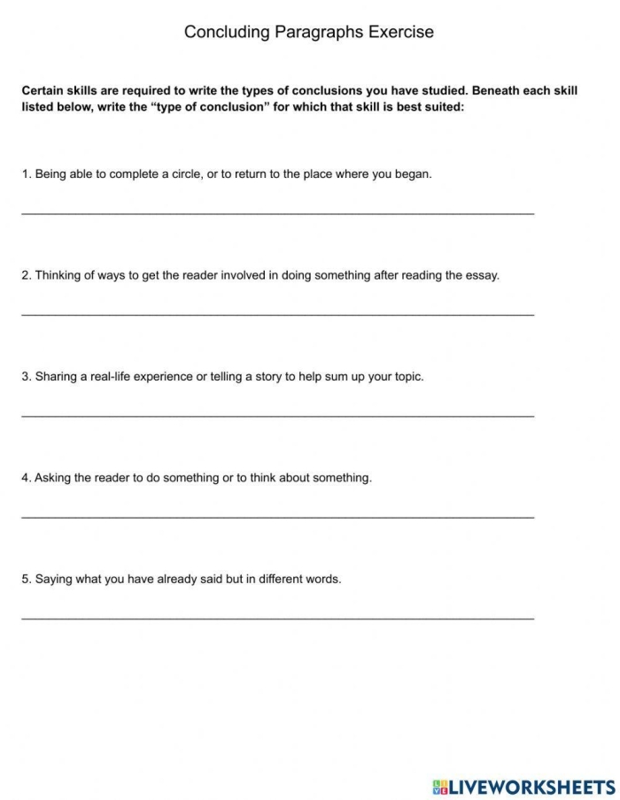 Practice Writing a Conclusion worksheet for fifth-grade algebra students