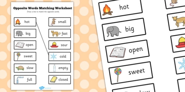 Pairing Up Words Worksheet Lesson 13 for Fifth Grade Language Arts Fifth grade students practicing how to form contractions and hyphenated compound words on a Pairing Up Words worksheet