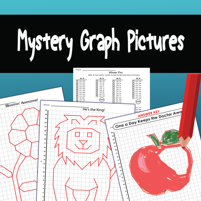Fifth grade student graphing coordinates on a grid to complete the mystery picture night scene worksheet 21