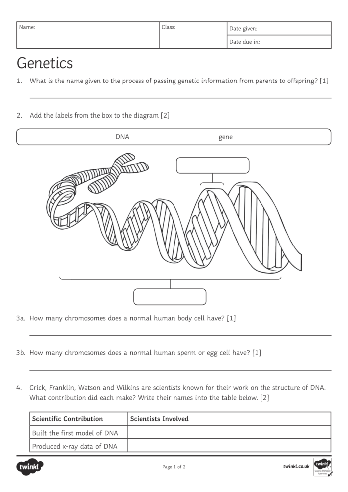 Illustration of Steve the savvy scientist explaining DNA basics to fifth graders