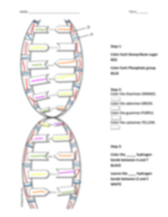 Colorful illustration of Steve the savvy scientist explaining DNA basics to fifth graders