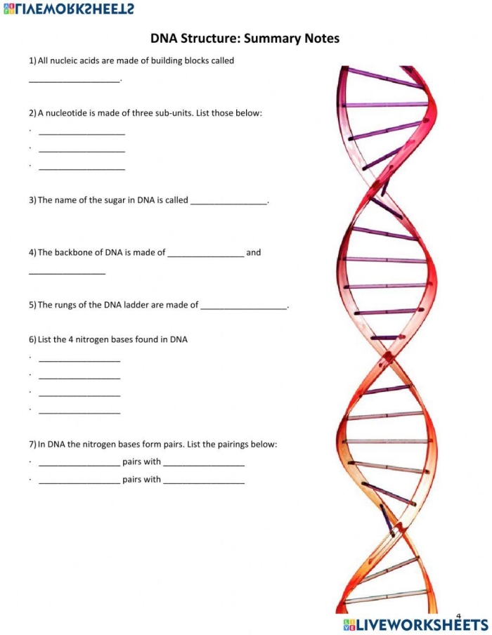 Colorful illustration of Steve the scientist explaining DNA concepts to fifth graders