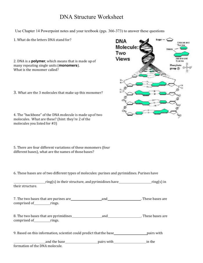 Colorful illustration of Steve the scientist explaining DNA basics for fifth graders