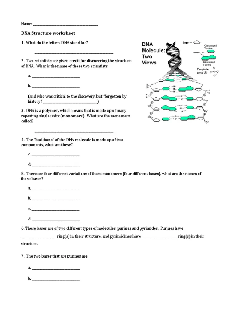 Colorful illustration of Steve the savvy scientist explaining DNA basics to fifth graders