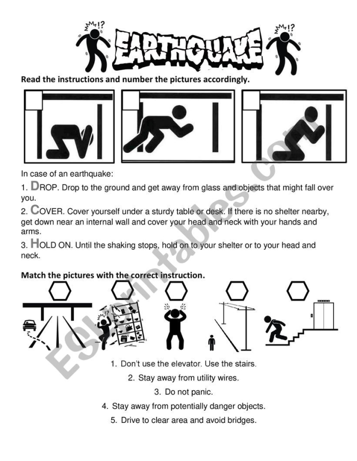 Worksheet focused on earthquake science concepts for fifth-grade geometry students