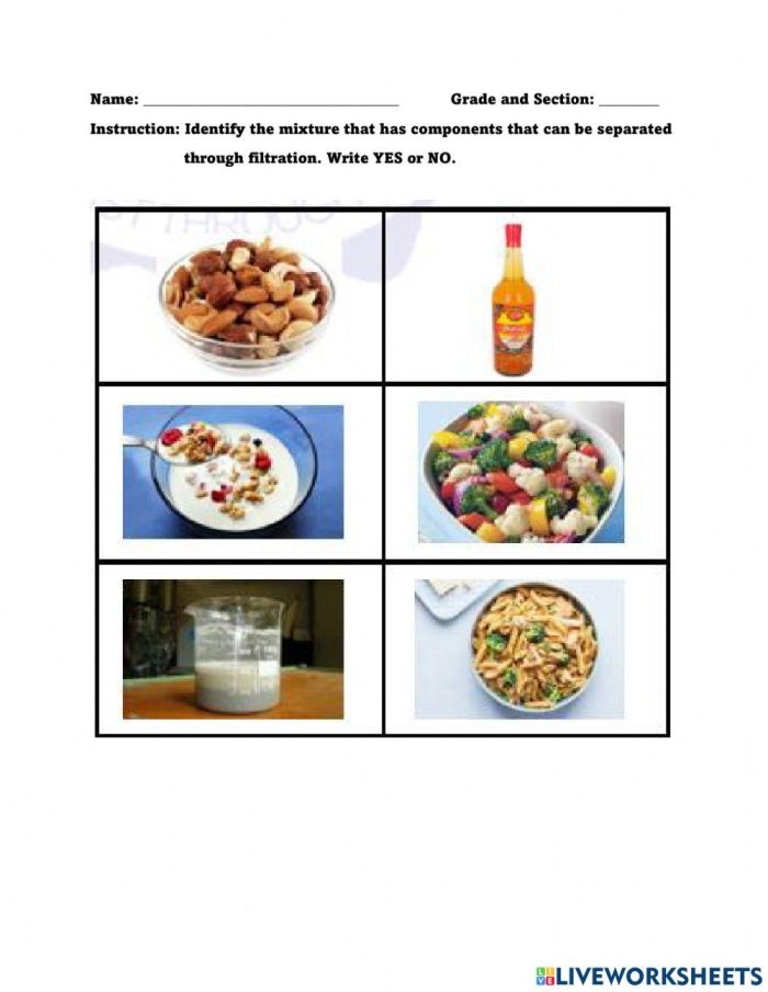 Fifth grade students cut and paste the parts of a filtration system worksheet to learn about organ functions