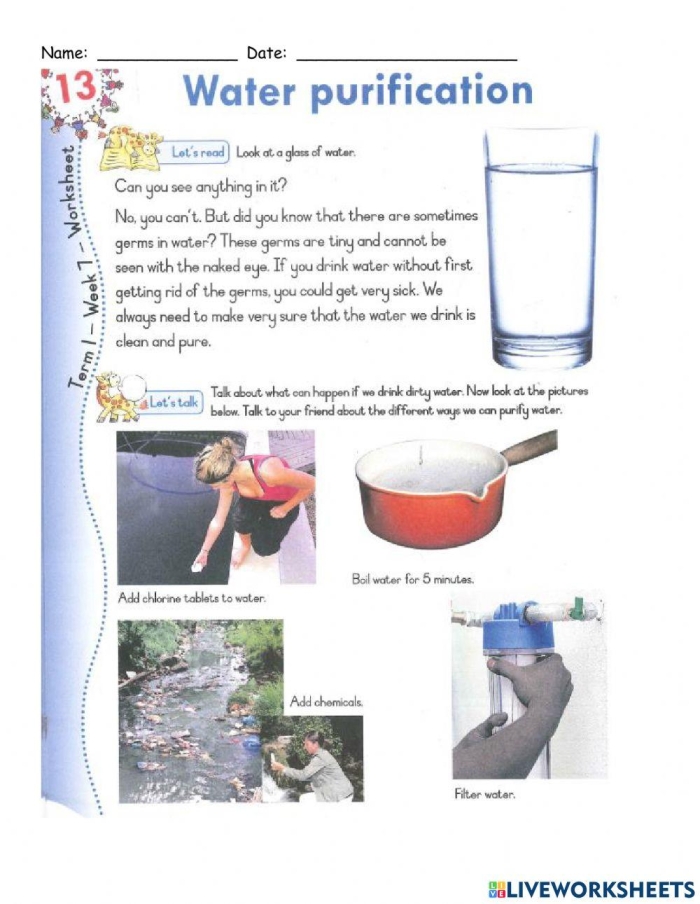 Colorful worksheet for fifth graders featuring a filtration system with kidneys and intestines. Fun activity for matching organ functions in life science education.