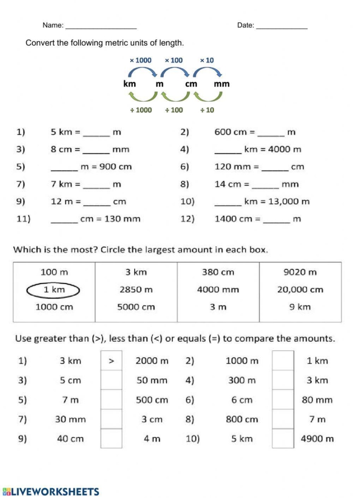 Converting Units of Measurement worksheet for fifth graders focusing on geometry practice