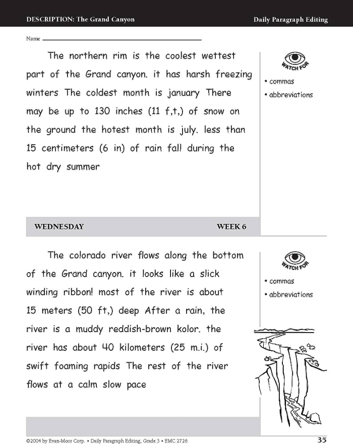 Fifth grade students editing a Victorian love letter for grammar and punctuation errors on a paragraph editing worksheet