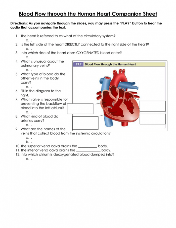 Diagram illustrating the pathway of blood flow through the heart for educational purposes