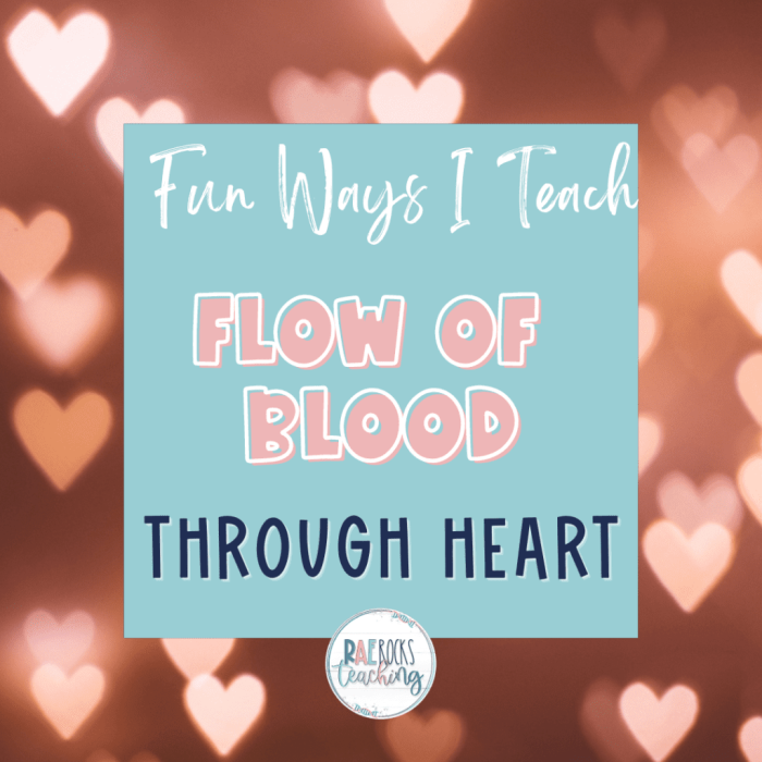 Diagram illustrating blood flow through the heart for a fifth-grade worksheet