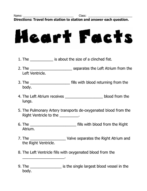Detailed illustration of the heart and its role in blood circulation for the Awesome Anatomy worksheet