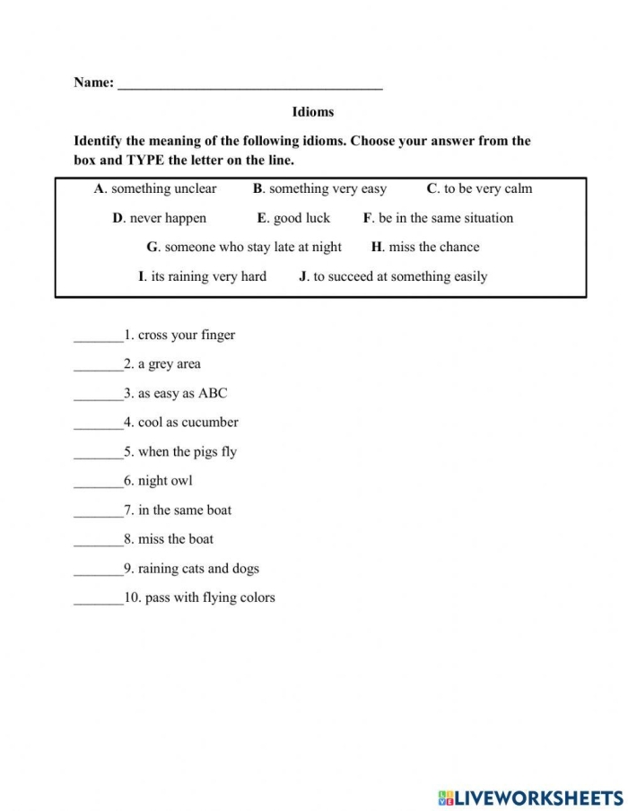 Matching Identical Idioms Worksheet for Grade 5 Lesson 13 Fifth grade students matching identical idioms on a printable educational worksheet