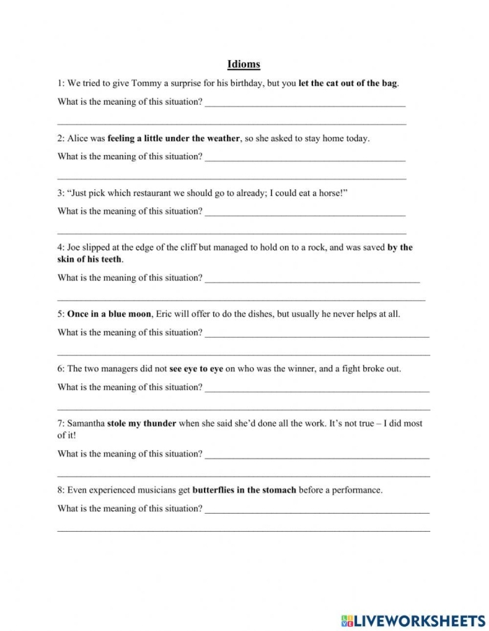 Identical Idioms Matching Exercise for Elementary Reading Practice Fifth grade students matching pairs of idioms with the same meanings on a worksheet activity