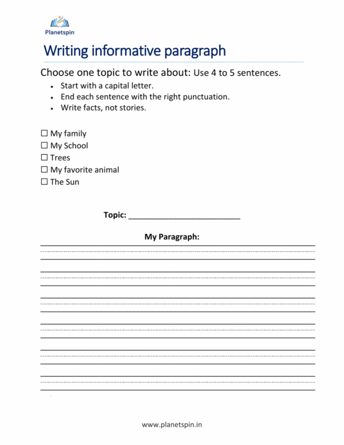 Informative Paragraph Writing Outline Worksheet for Grade 5 Reading Lesson 5 Fifth grade students practicing how to structure an informational paragraph using a guided outline worksheet