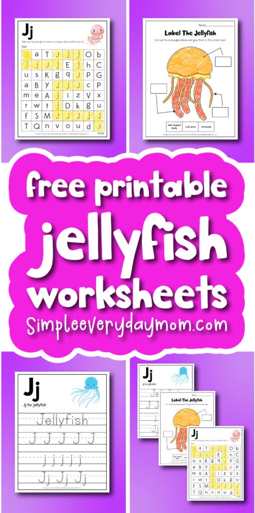 Worksheet featuring various types of jellyfish with questions for assessment