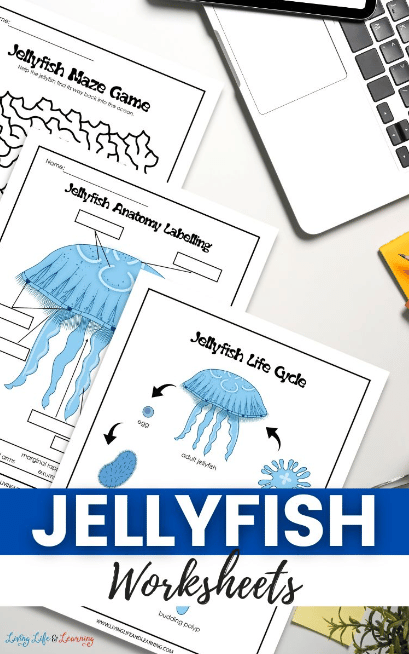 Fifth grade life science worksheet featuring various jellyfish species and assessment questions