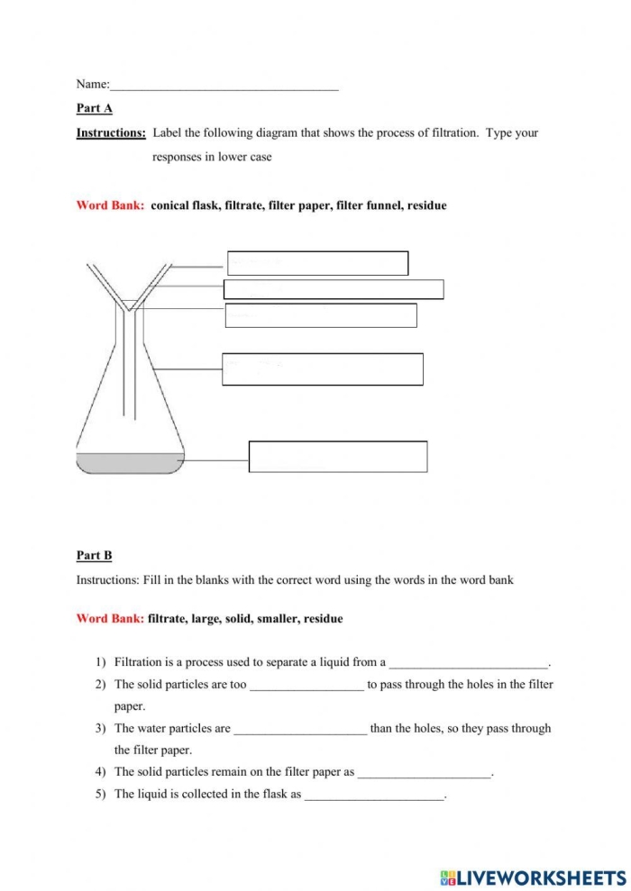 Fifth grade students cut and paste the functions of kidneys and intestines on this biology filtration system worksheet
