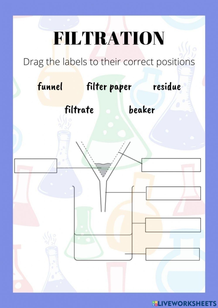 Fifth grade students cut and paste the functions of kidneys and intestines on this biology filtration system worksheet