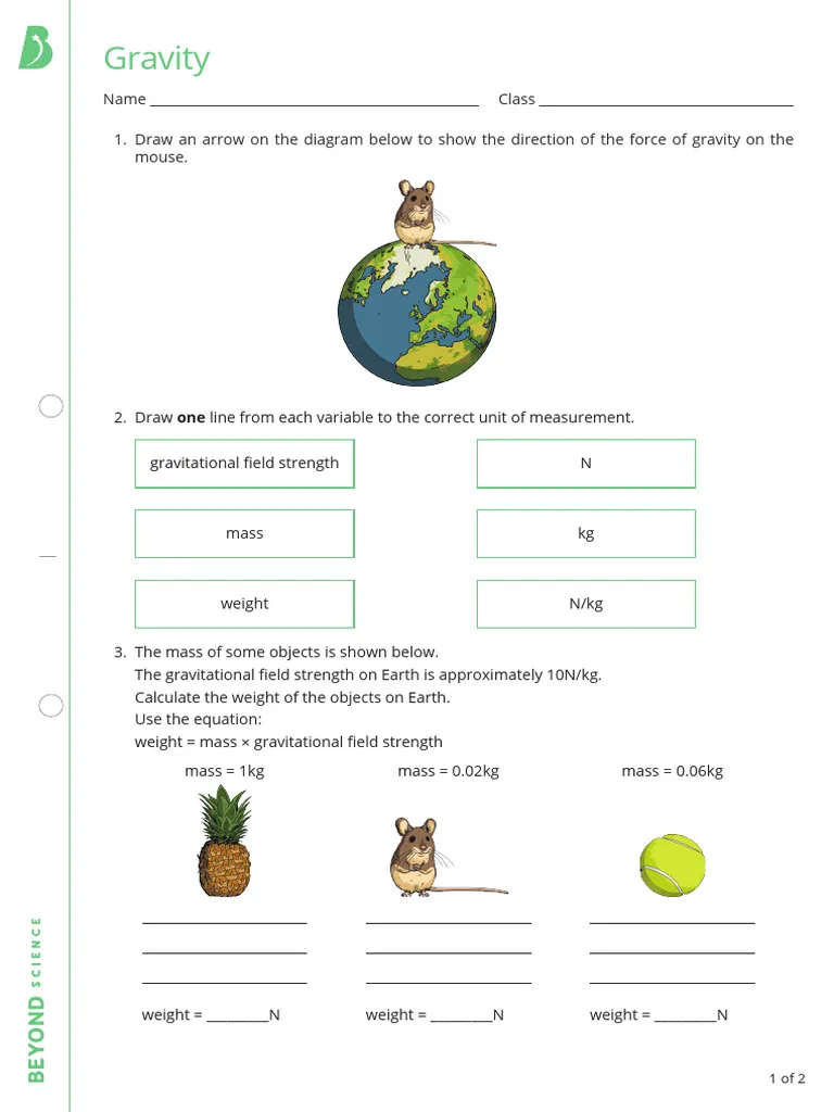 Engaging worksheet for fifth graders exploring the Law of Gravity and its principles