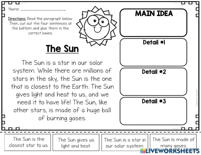 Worksheet for identifying the main idea and supporting details in a text for fifth graders