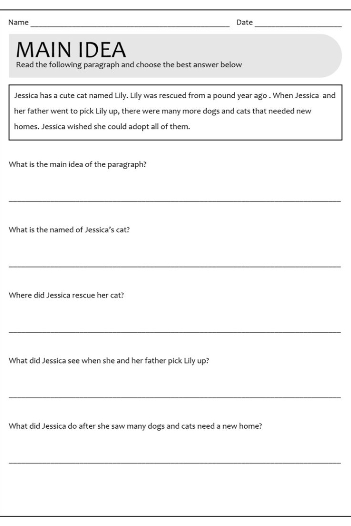 Worksheet for identifying the main idea and supporting details in a text for fifth graders