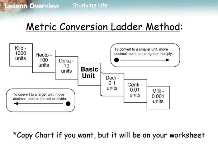 Metric Ladder Method worksheet for converting measurements in fractions