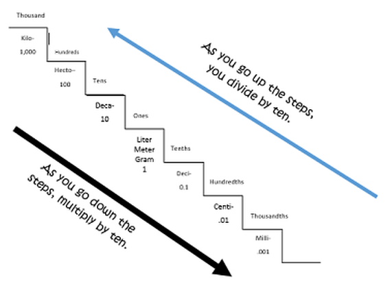 Metric Ladder Method worksheet for fifth graders to visualize metric conversions