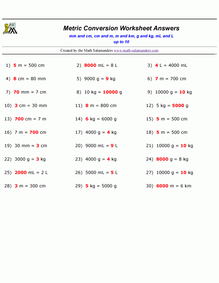 Unit Conversion Practice worksheet for fifth graders focusing on metric length conversions