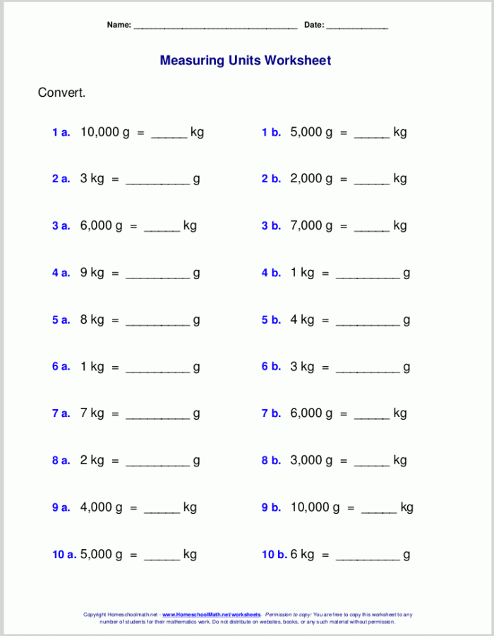 Metric Units Place Value Chart for Meters worksheet for fifth graders