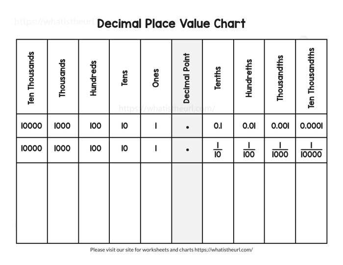 Metric Units Place Value Chart for Meters worksheet designed for fifth graders