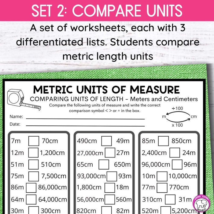 Metric Units Place Value Chart worksheet for fifth graders focused on meters