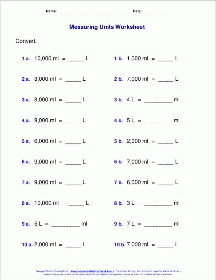 Metric Units Place Value Chart worksheet for converting meters